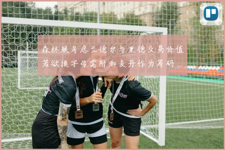 森林狼考虑兰德尔与里德交易价值若欲换字母需附加麦丹作为筹码