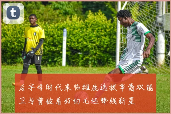 后字母时代来临雄鹿选拔华裔双能卫与曾被看好的毛坯锋线新星