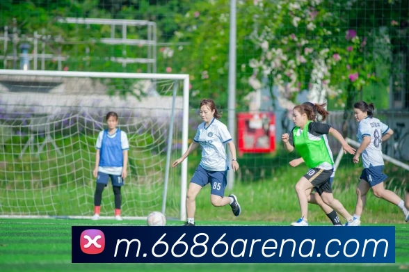 6686体育平台生态图